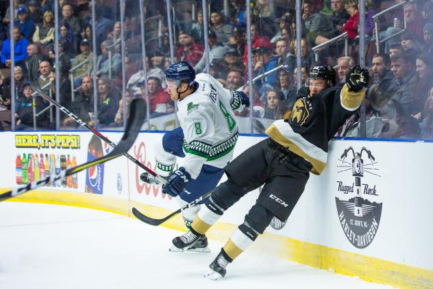 Florida Everblades defenseman Josh Wesley takes out a member of the Newfoundland Growlers