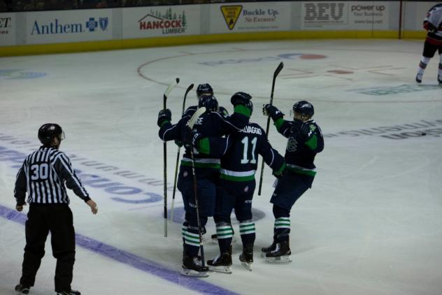 Maine Mariners celebrate a goal