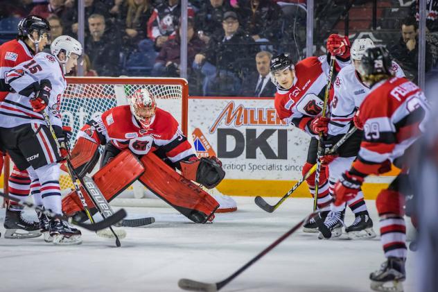 Niagara IceDogs face the Ottawa 67s