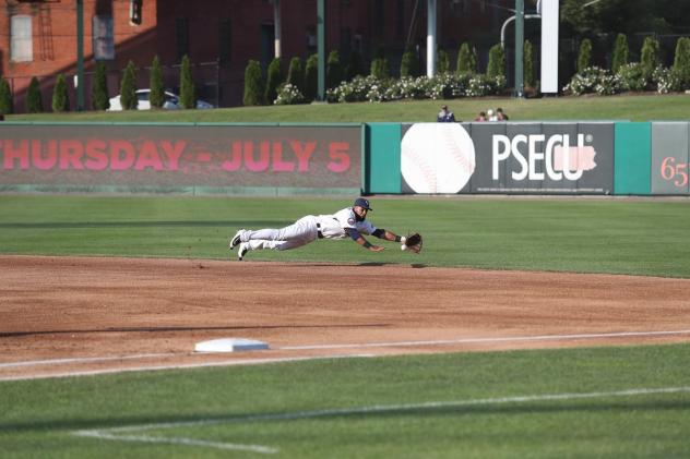 York Revolution second baseman Alexi Casilla