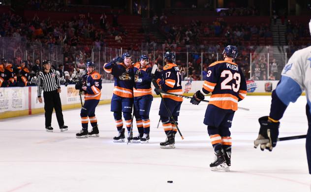 Greenville Swamp Rabbits celebrate a goal