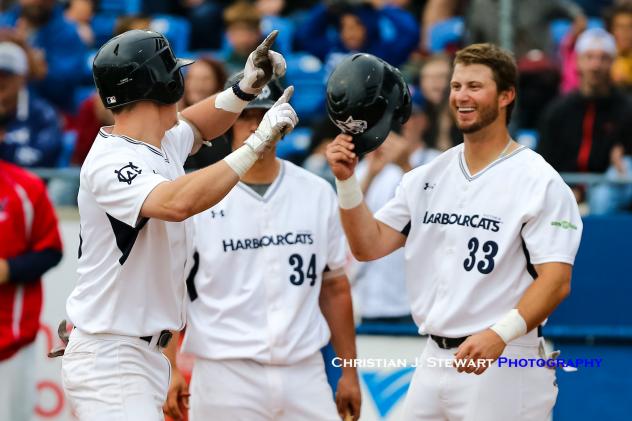 Victoria HarbourCats celebrate