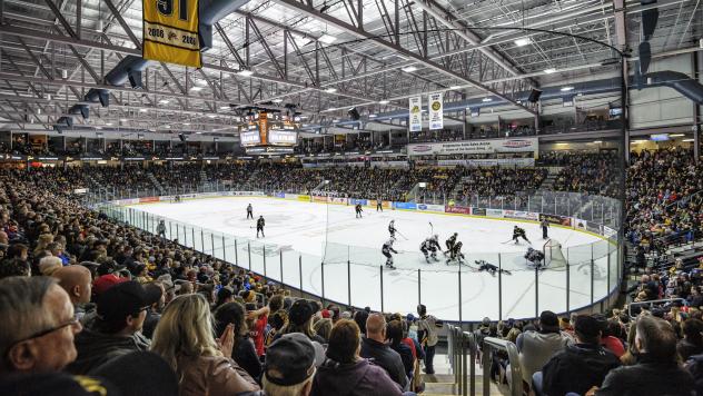 Progressive Auto Sales Arena, home of the Sarnia Sting