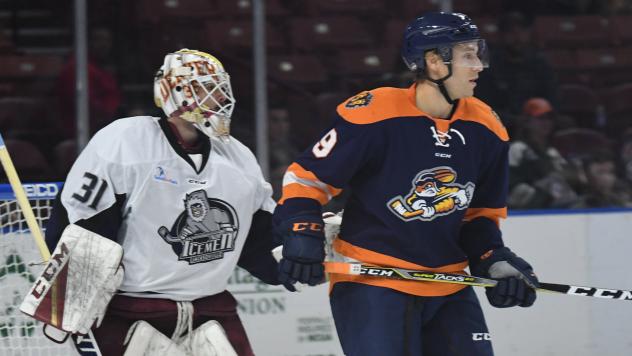 Greenville Swamp Rabbits vs. the Jacksonville IceMen