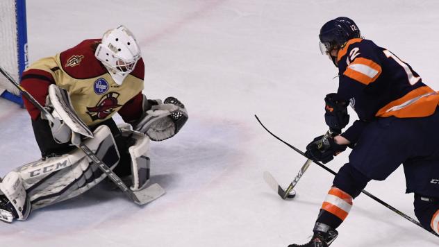 Greenville Swamp Rabbits forward Johno May prepares to shoot against the Atlanta Gladiators