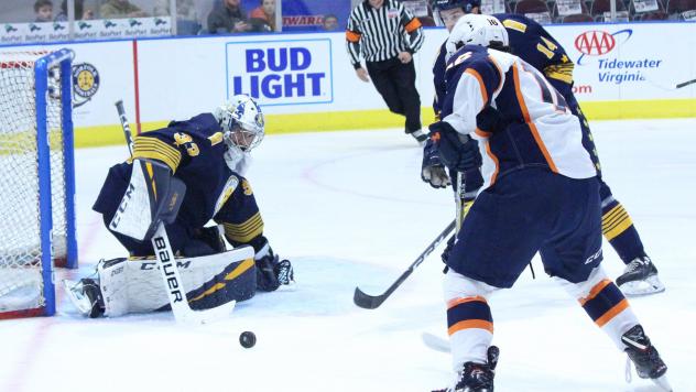 Greenville Swamp Rabbits take a shot against the Norfolk Admirals