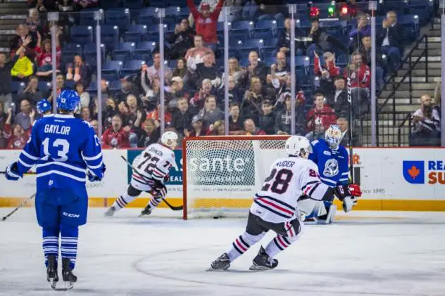 Andrew Bruder of the Niagara IceDogs after a goal against the Mississauga Steelheads