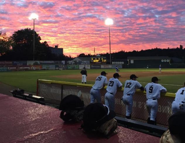 A Cowlitz Black Bears game