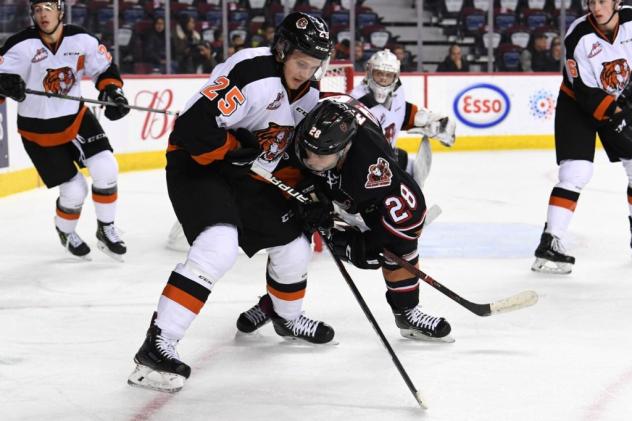 Medicine Hat Tigers battle the Calgary Hitmen