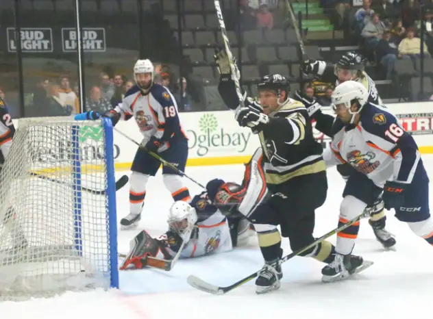 Wheeling Nailers celebrate a goal against the Greenville Swamp Rabbits