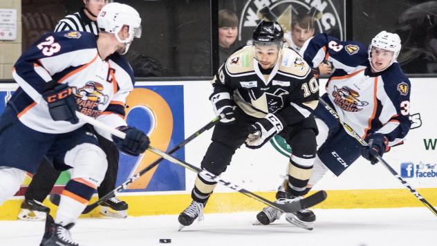 Greenville Swamp Rabbits vs. the Wheeling Nailers