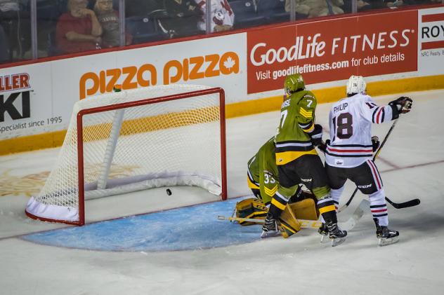 Niagara IceDogs LW Matthew Philip tests the North Bay Battalion goaltender