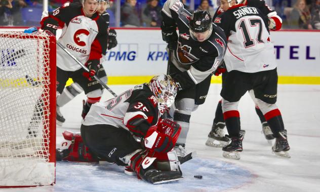 Vancouver Giants C Milos Roman attacks the Prince George Cougars' net