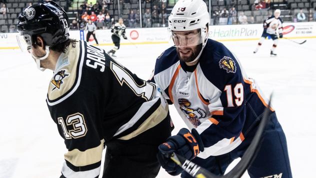 Greenville Swamp Rabbits defenseman Jake Bolton (19) vs. the Wheeling Nailers