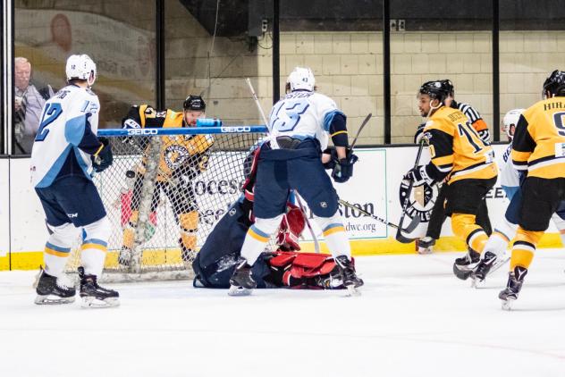 Wheeling Nailers vs. the Toledo Walleye