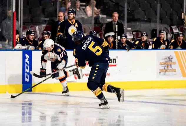 Norfolk Admirals vs. the Greenville Swamp Rabbits