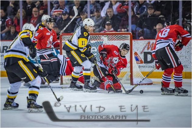 Niagara IceDogs vs. the Hamilton Bulldogs