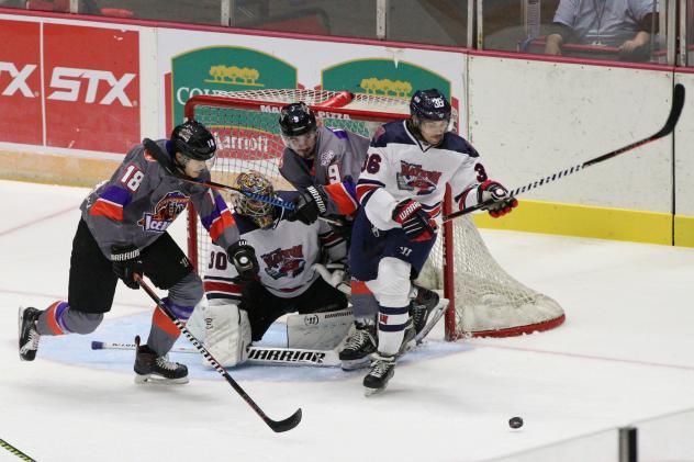 Macon Mayhem fend off the Knoxville Ice Bears