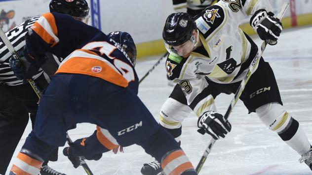 Greenville Swamp Rabbits face off with the Wheeling Nailers