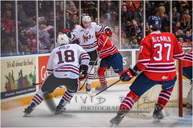 Niagara IceDogs vs. the Oshawa Generals