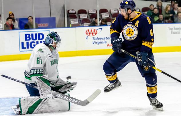 Norfolk Admirals forward Domenic Alberga takes a shot against the Florida Everblades