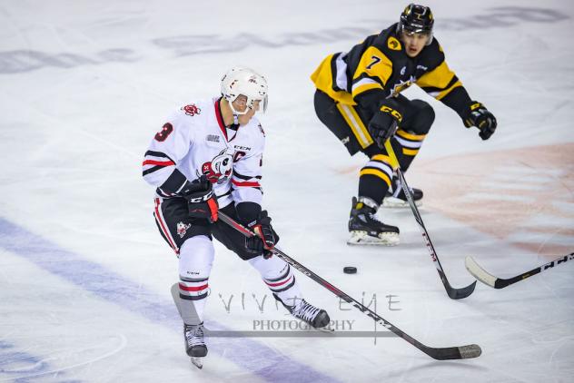 Niagara IceDogs vs. the Hamilton Bulldogs