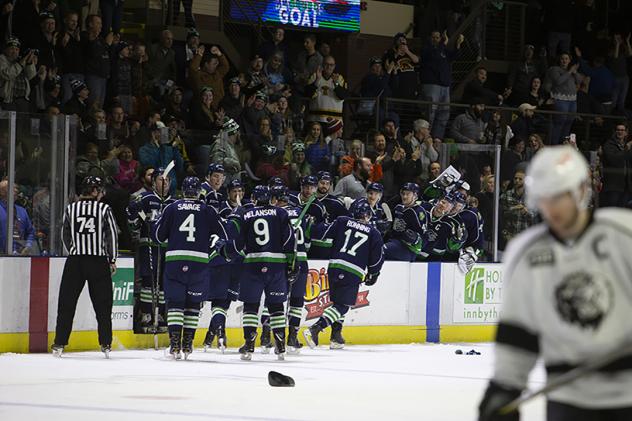 Maine Mariners celebrate with the bench