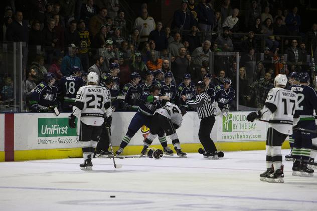 Maine Mariners fight with the Manchester Monarchs