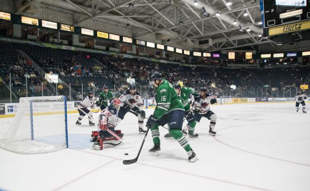 Florida Everblades forward Steven Lorentz (16) navigates past the South Carolina Stingrays defense