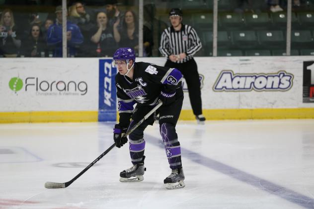 Tri-City Storm defenseman Ronnie Attard