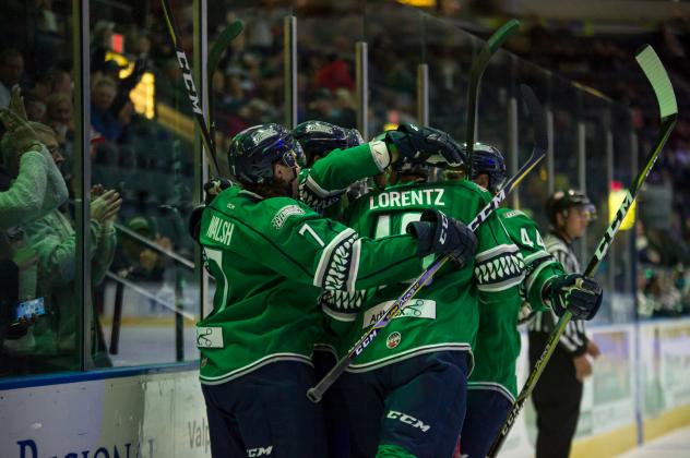 Florida Everblades celebrate a goal