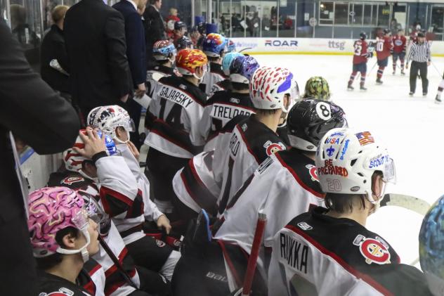 Chicago Steel sport specially designed helmets