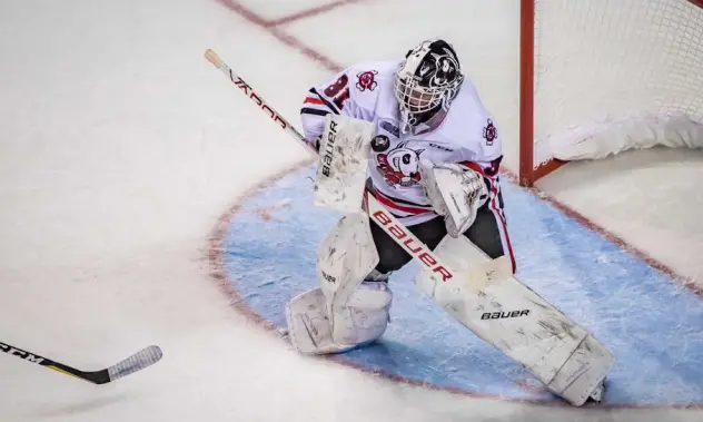 Goaltender Colton Incze with the Niagara IceDogs