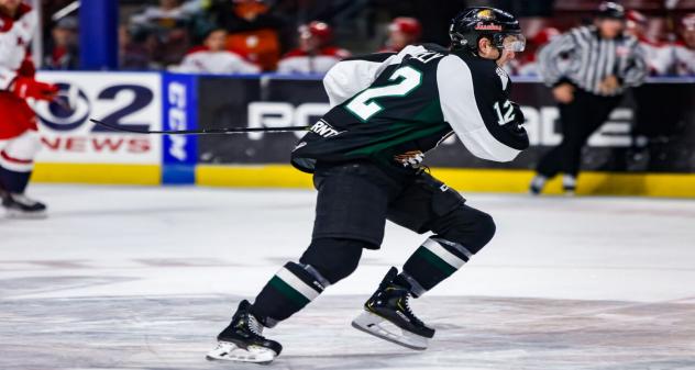 Utah Grizzlies forward Cole Ully