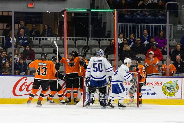 Lehigh Valley Phantoms celebrate a goal