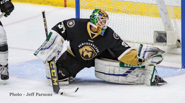 Newfoundland Growlers goaltender Michael Garteig