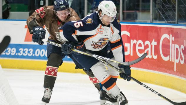 Greenville Swamp Rabbits vs. the Florida Everblades