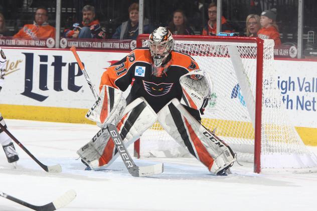 Lehigh Valley Phantoms goaltender Carter Hart ready between the pipes