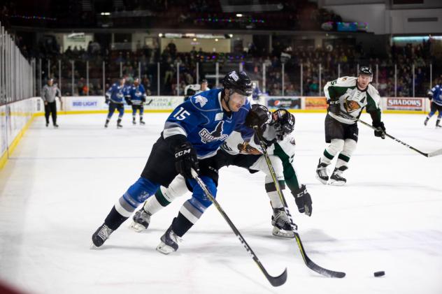 Utah Grizzlies attempt to cut off the Idaho Steelheads