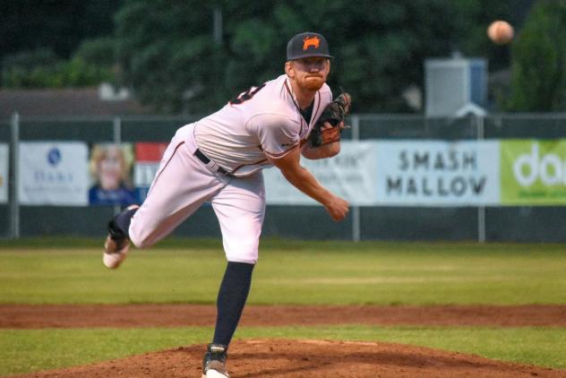 Sonoma Stompers pitcher Jacob Cox