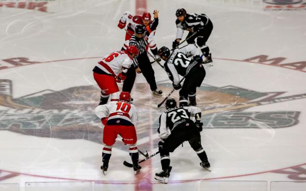 Utah Grizzlies face off with the Allen Americans