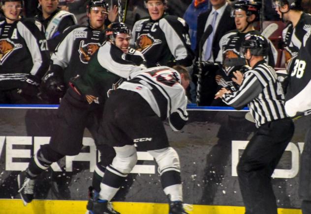 Utah Grizzlies and Rapid City Rush fight