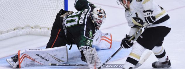 South Carolina Stingrays goaltender Angus Redmond