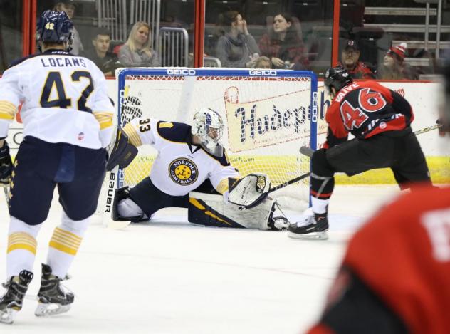 Norfolk Admirals goaltender Ty Reichenbach vs. the Cincinnati Cyclones