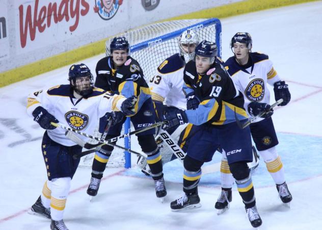 Norfolk Admirals battle the Toledo Walleye