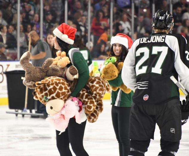 Teddy Bear collection at the Utah Grizzlies game