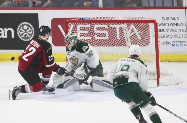 Jared Dmytriw of the Vancouver Giants presses Everett Silvertips goaltender Dustin Wolf