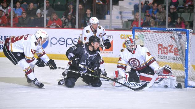 Adirondack Thunder forward Peter MacArthur celebrates a goal takes a shot at the Manchester Monarchs goal