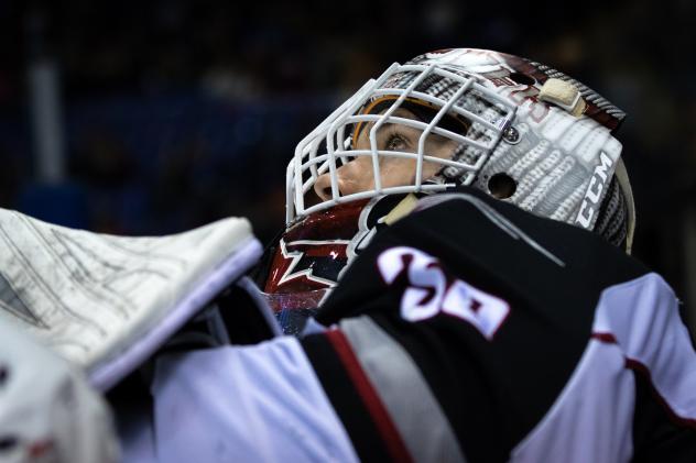 Vancouver Giants goaltender David Tendeck