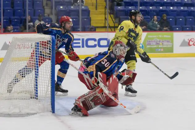 Allen Americans goaltender Kyle Hayton vs. the Reading Royals